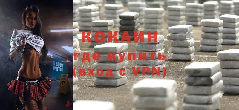 Cocaine FishScale  мега как войти  Галич 